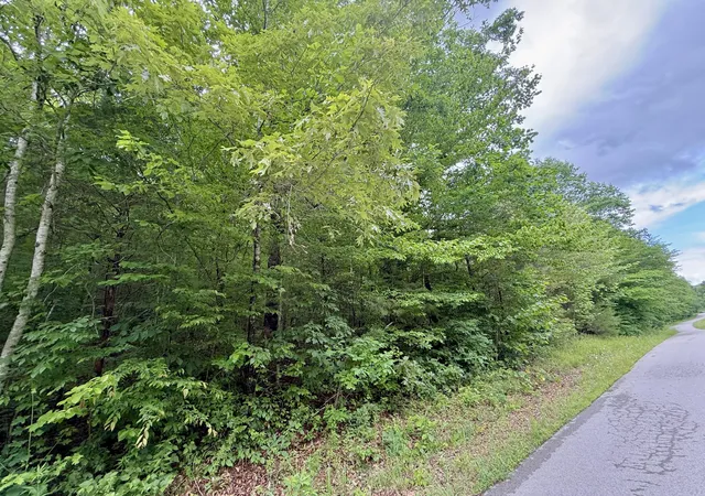 Homes for sale in Dunnville, KY | 1200 Owens Branch Rd, Dunnville, KY 42528 | MLS# 26012139