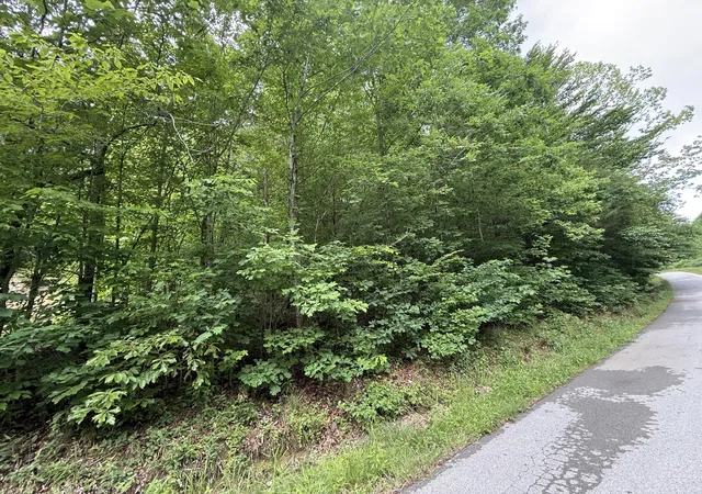 Homes for sale in Dunnville, KY | 1200 Owens Branch Rd, Dunnville, KY 42528 | MLS# 26012139