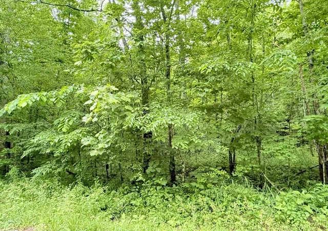 Photo 2 of Land for sale at 1200 Owens Branch Rd, Dunnville, KY 42528 | MLS# 26012139 | Listing updated on 2026-08-23