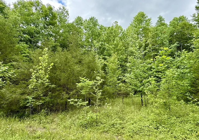 Photo 3 of Land for sale at 1200 Owens Branch Rd, Dunnville, KY 42528 | MLS# 26012139 | Listing updated on 2026-08-23