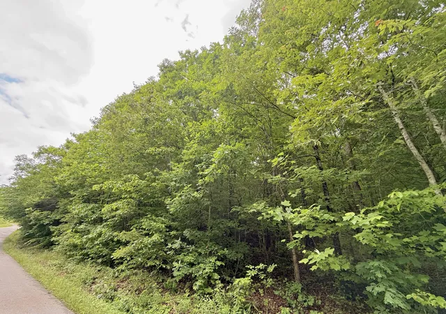 Photo 4 of Land for sale at 1200 Owens Branch Rd, Dunnville, KY 42528 | MLS# 26012139 | Listing updated on 2026-08-23