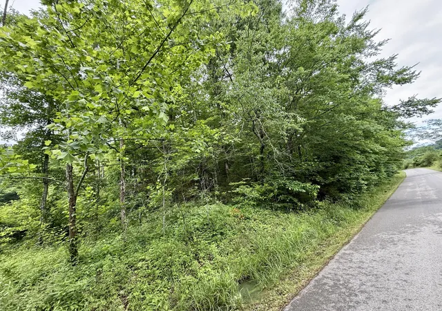 Homes for sale in Dunnville, KY | 1350 Owens Branch Rd, Dunnville, KY 42528 | MLS# 26012148
