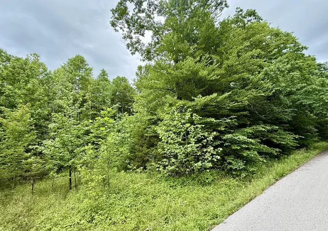 Homes for sale in Dunnville, KY | 1350 Owens Branch Rd, Dunnville, KY 42528 | MLS# 26012148