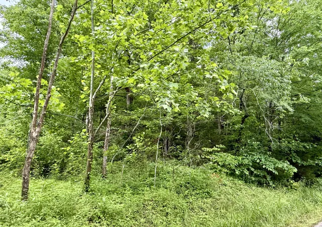 Homes for sale in Dunnville, KY | 1350 Owens Branch Rd, Dunnville, KY 42528 | MLS# 26012148