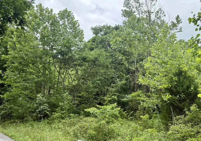 Homes for sale in Dunnville, KY | 1350 Owens Branch Rd, Dunnville, KY 42528 | MLS# 26012148