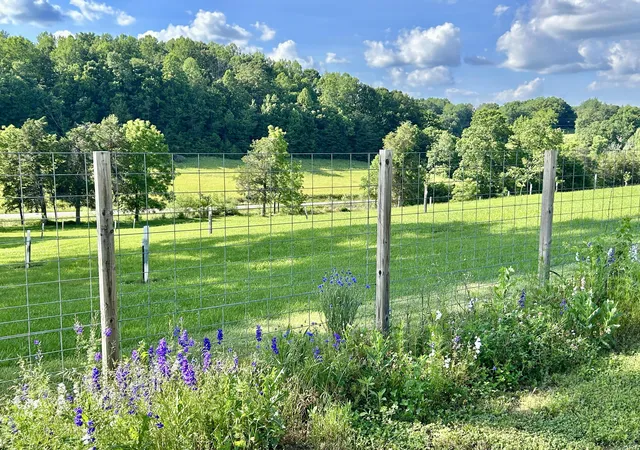 Homes for sale in Nancy, KY | 94 Tarter Cemetery Rd, Nancy, KY 42544 | MLS# 26012171