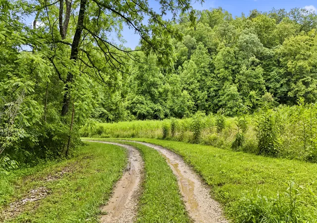 Homes for sale in Campton, KY | 1235 Greenbrier Branch Rd, Campton, KY 41301 | MLS# 26012100