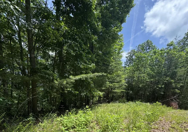 Homes for sale in Monticello, KY | Lot #67 Sunrise Cove Trl #67, Monticello, KY 42633 | MLS# 26012183
