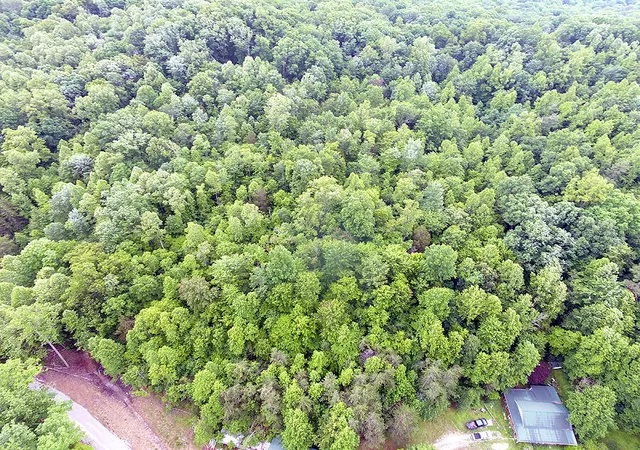 Photo 3 of House for sale at 452 Langford Prong Rd, Somerset, KY 42501 | MLS# 26012188 | Listing updated on 2026-05-29