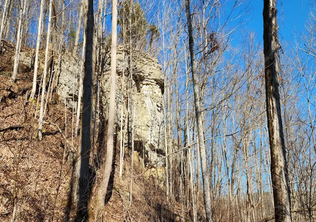 Homes for sale in Stanton, KY | 0 Birch Hollow Rd Rd #Lot  20 Phase 3, Stanton, KY 40380 | MLS# 26013262