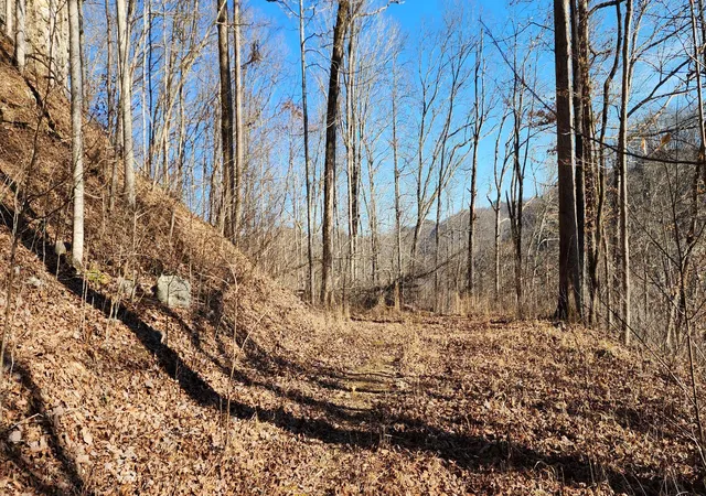 Homes for sale in Stanton, KY | 0 Birch Hollow Rd Rd #Lot  20 Phase 3, Stanton, KY 40380 | MLS# 26013262