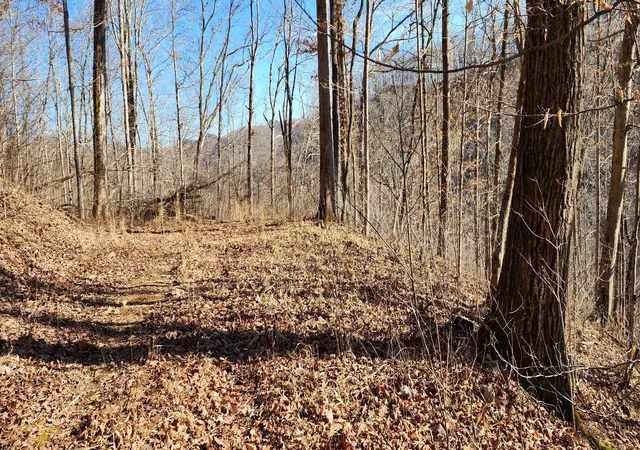 Homes for sale in Stanton, KY | 0 Birch Hollow Rd Rd #Lot  20 Phase 3, Stanton, KY 40380 | MLS# 26013262