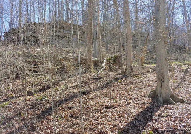 Homes for sale in Stanton, KY | 0 Birch Hollow Rd #Lot 11 Phase 2, Stanton, KY 40380 | MLS# 26013261