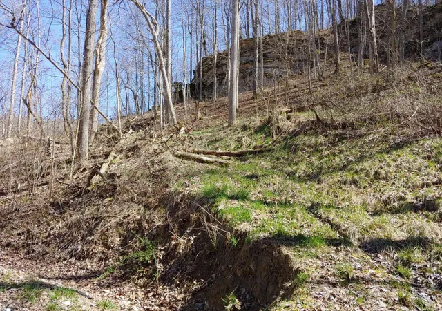 Homes for sale in Stanton, KY | 0 Birch Hollow Rd #Lot 11 Phase 2, Stanton, KY 40380 | MLS# 26013261