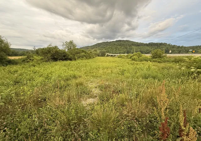 Homes for sale in Pine Knot, KY | 3988 Kentucky 592, Pine Knot, KY 42635 | MLS# 26012444