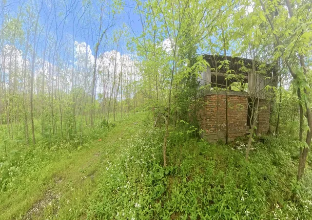 Homes for sale in Crab Orchard, KY | 192a Fletcher Ln, Crab Orchard, KY 40419 | MLS# 26012785