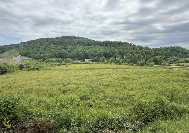Photo 1 of Land for sale at 31 Hayes Crk Rd, Pine Knot, KY 42635 | MLS# 26012451 | Listing updated on 2026-09-04