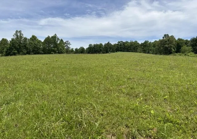 Homes for sale in Mc Kee, KY | 1398 Begley Rd, Mc Kee, KY 40447 | MLS# 26012764