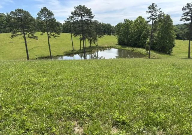 Homes for sale in Mc Kee, KY | 1398 Begley Rd, Mc Kee, KY 40447 | MLS# 26012764