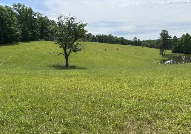 Homes for sale in Mc Kee, KY | 1398 Begley Rd, Mc Kee, KY 40447 | MLS# 26012764