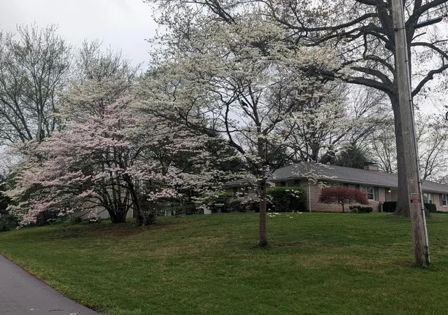 4th image of 3101 Trinity Rd, Lexington, KY 40503 | MLS# 26012879