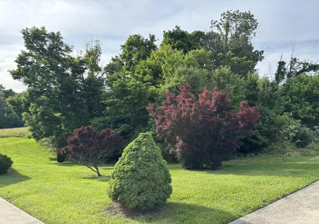 Homes for sale in Crittenden, KY | 175 Maple Ridge St #lot 24, Crittenden, KY 41030 | MLS# 26012894