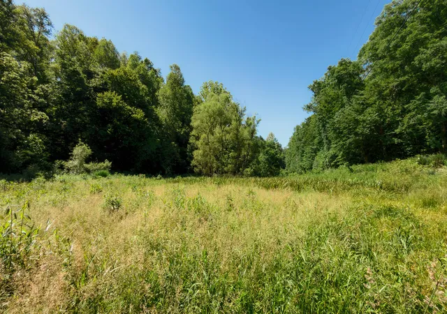 Homes for sale in Campton, KY | 820 Shooting Fork Rd, Campton, KY 41301 | MLS# 26013031