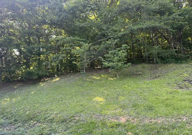 Homes for sale in Williamsburg, KY | 1448 Briar Creek Rd, Williamsburg, KY 40769 | MLS# 26012997
