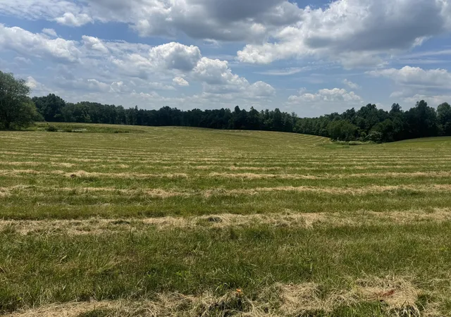 Homes for sale in Mc Kee, KY | 003 Upper Dry Fork Rd #3, Mc Kee, KY 40447 | MLS# 26013047