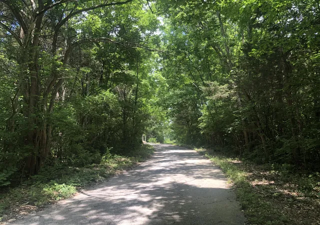 Homes for sale in Lawrenceburg, KY | 22 Acres Tract 1 Lock Rd, Lawrenceburg, KY 40342 | MLS# 26013136
