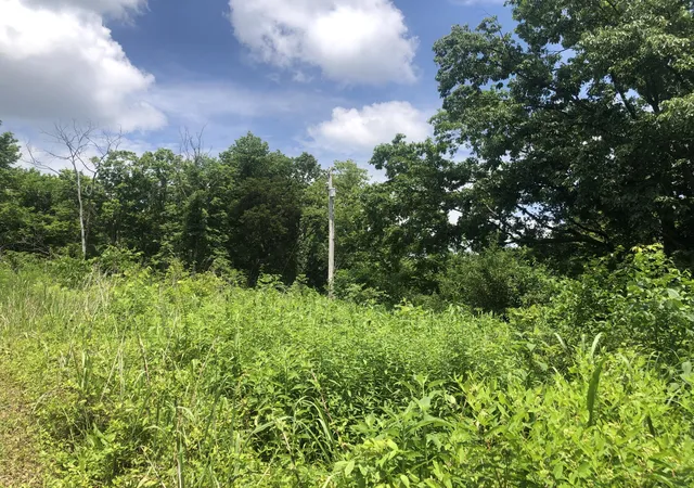Homes for sale in Lawrenceburg, KY | 22 Acres Tract 1 Lock Rd, Lawrenceburg, KY 40342 | MLS# 26013136