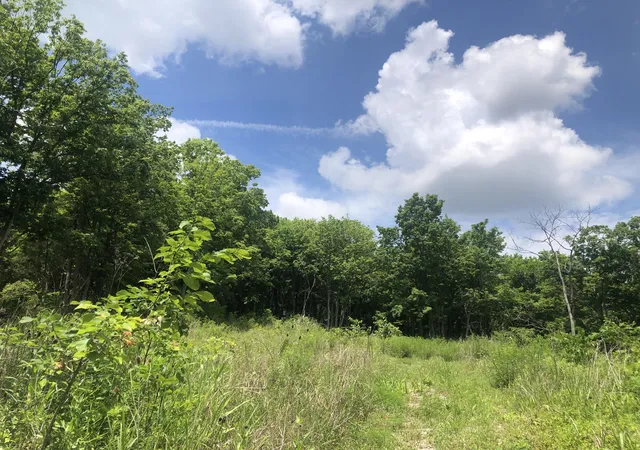 Homes for sale in Lawrenceburg, KY | 22 Acres Tract 1 Lock Rd, Lawrenceburg, KY 40342 | MLS# 26013136