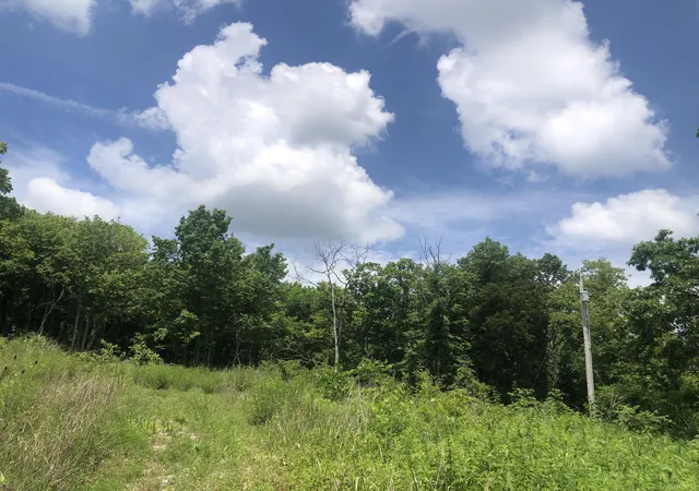 Homes for sale in Lawrenceburg, KY | 22 Acres Tract 1 Lock Rd, Lawrenceburg, KY 40342 | MLS# 26013136