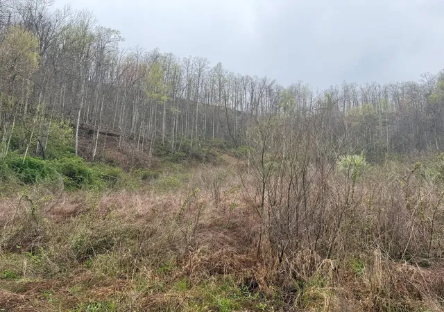 Homes for sale in Louisa, KY | 4242 Right Fork Georges Creek Rd, Louisa, KY 41230 | MLS# 26013240