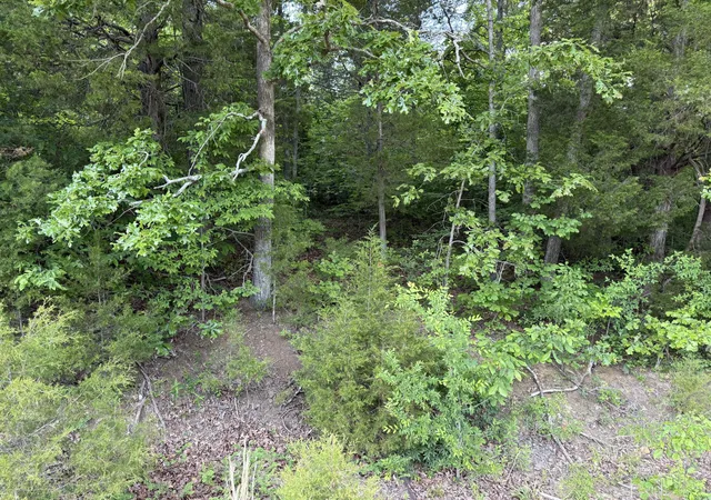23rd image of 0 Olaton Rd, Olaton, KY 42361 | MLS# 26013227
