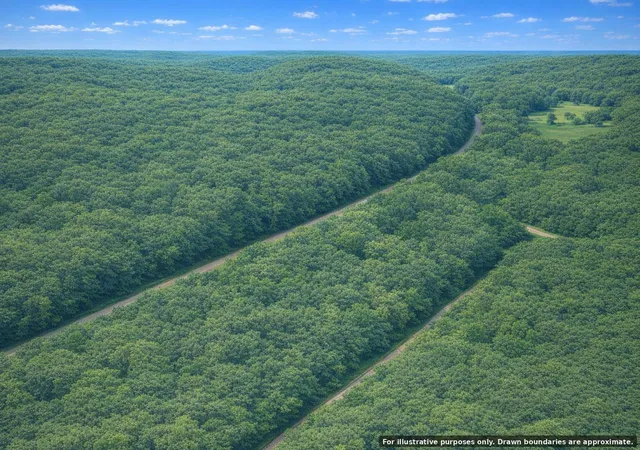 5th image of 0 Olaton Rd, Olaton, KY 42361 | MLS# 26013227