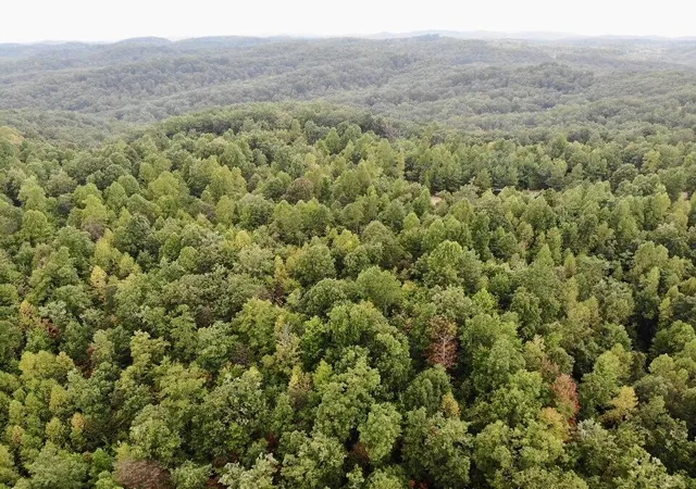 Land for sale at 3680 Copper Crk Rd, Berea, KY 40403 | MLS# 26013319