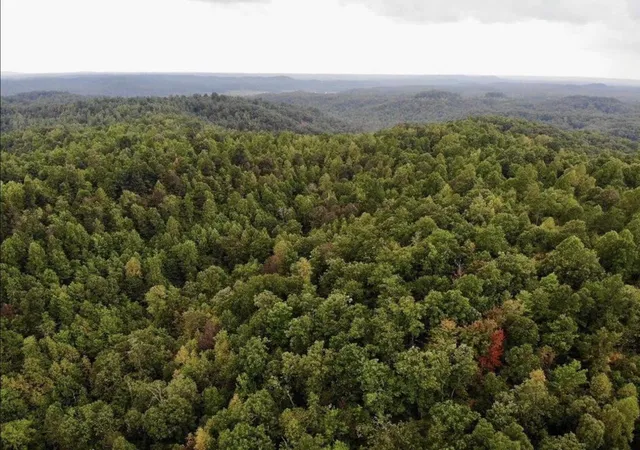 Photo 2 of Land for sale at 3680 Copper Crk Rd, Berea, KY 40403 | MLS# 26013319 | Listing updated on 2026-06-09