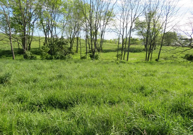 4th image of 750 Craig Xing #Lot 7, Winchester, KY 40391 | MLS# 26013322