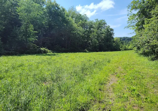 Photo 1 of Land for sale at 350 Boyd Cemetery Rd, Morehead, KY 40351 | MLS# 26013337 | Listing updated on 2026-06-21