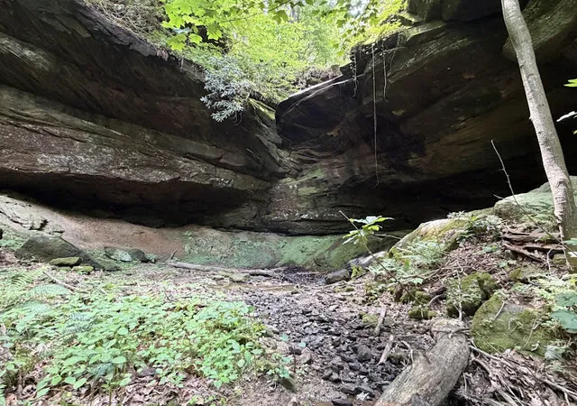 Photo 3 of Land for sale at 350 Boyd Cemetery Rd, Morehead, KY 40351 | MLS# 26013337 | Listing updated on 2026-06-21
