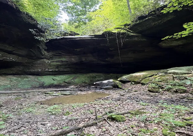 Photo 4 of Land for sale at 350 Boyd Cemetery Rd, Morehead, KY 40351 | MLS# 26013337 | Listing updated on 2026-06-21