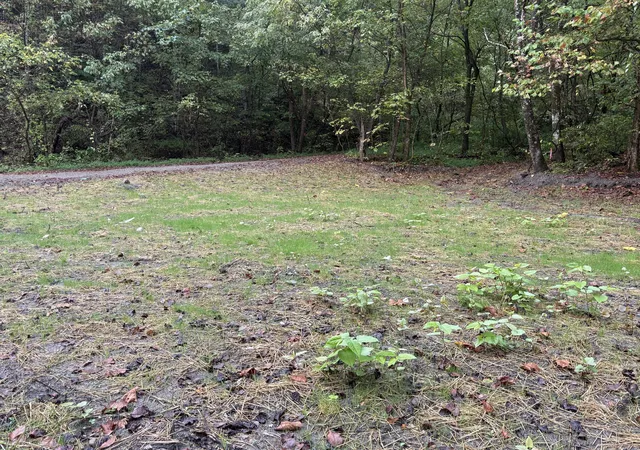 Photo 1 of Land for sale at 3350 Lower Pompey Branch Rd, Shelbiana, KY 41562 | MLS# 26013438 | Listing updated on 2026-06-11