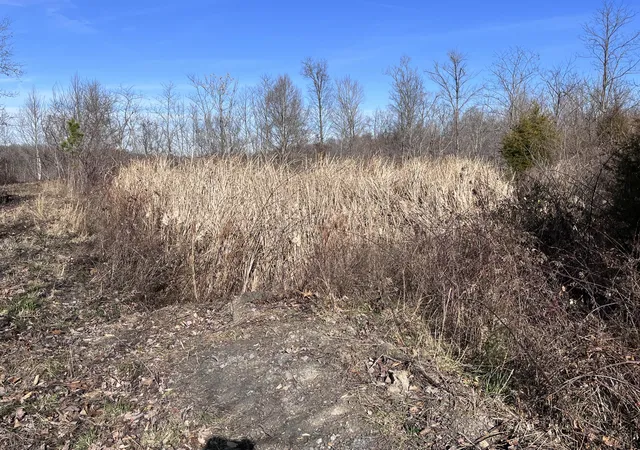 Photo 3 of Land for sale at 2557 Kentucky 1071, Tyner, KY 40486 | MLS# 26013440 | Listing updated on 2026-06-11