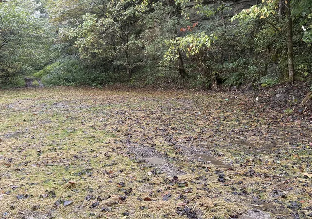 Photo 1 of Land for sale at 3348 Lower Pompey Branch Rd, Shelbiana, KY 41562 | MLS# 26013448 | Listing updated on 2026-06-11