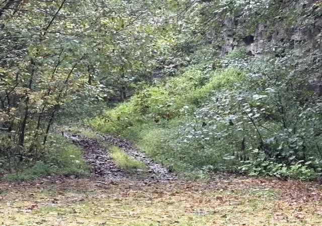 Photo 2 of Land for sale at 3348 Lower Pompey Branch Rd, Shelbiana, KY 41562 | MLS# 26013448 | Listing updated on 2026-06-11