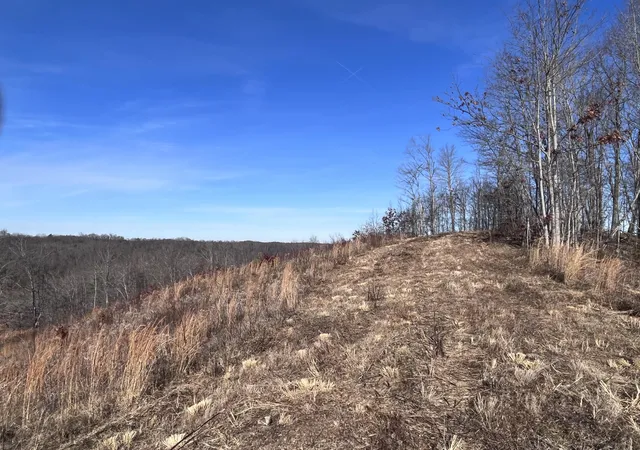 Photo 3 of Land for sale at 2555 Kentucky 1071, Tyner, KY 40486 | MLS# 26013533 | Listing updated on 2026-06-11