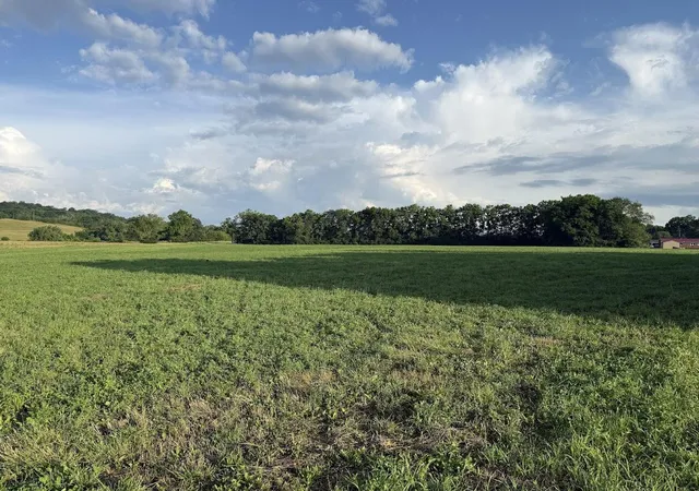 Homes for sale in Crab Orchard, KY | 10 Kentucky 39, Crab Orchard, KY 40419 | MLS# 26013585