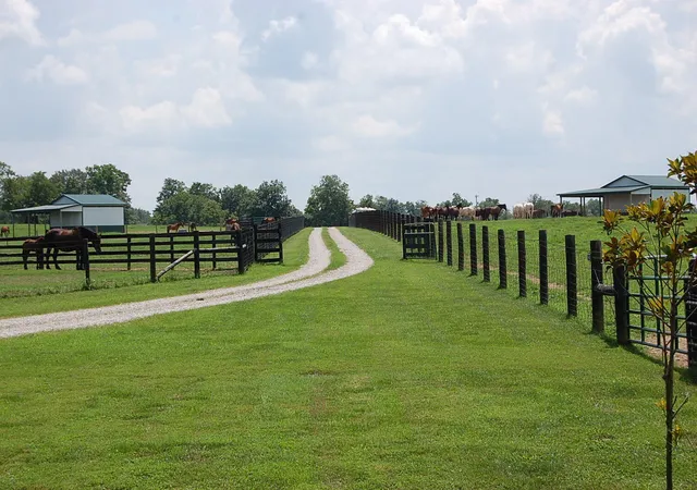 3rd image of 1378 Brentsville Rd, Paris, KY 40361 | MLS# 26013625