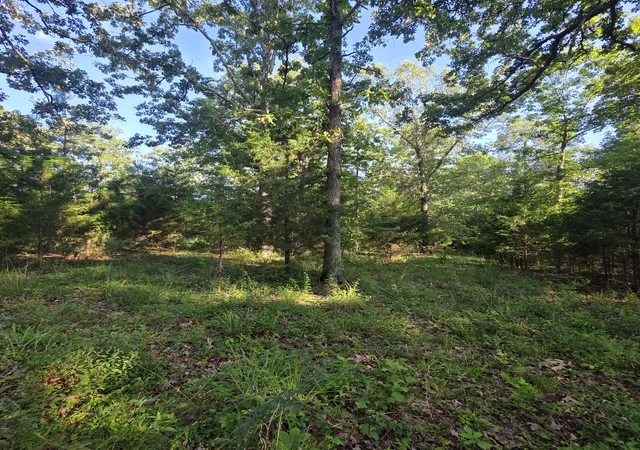 Homes for sale in Benton, KY | 999 Valhalla Ln, Benton, KY 42025 | MLS# 26016349